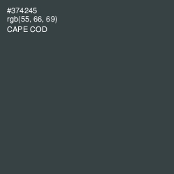 #374245 - Cape Cod Color Image